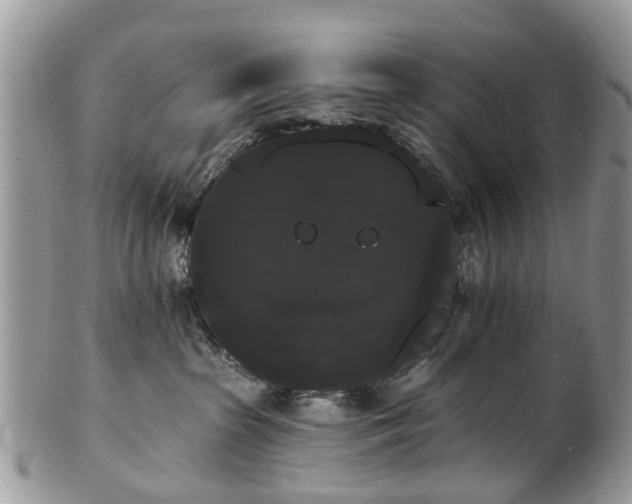 X0000101980285200807251240