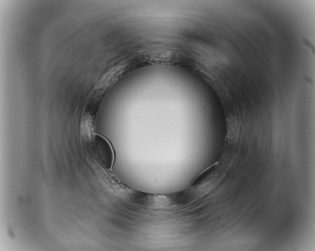 X0000101980287200807251240