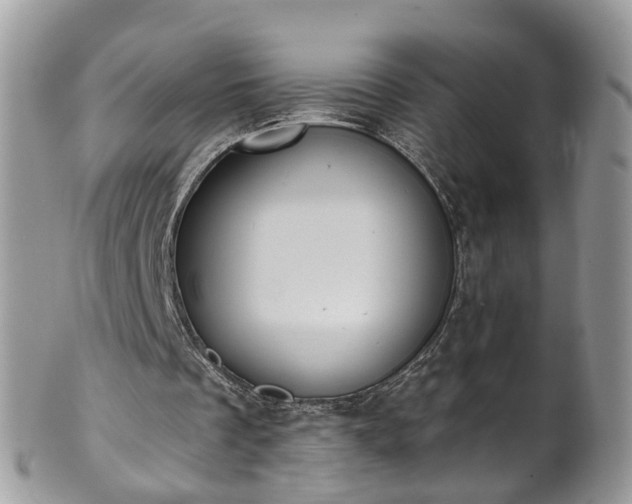 X0000101980289200807251240