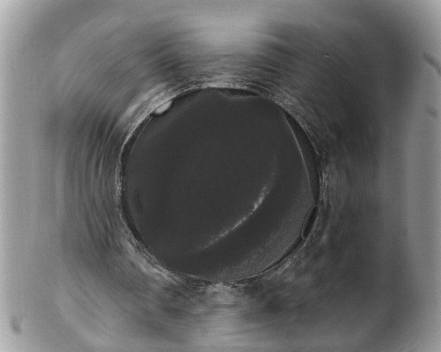 X0000101980290200807251240