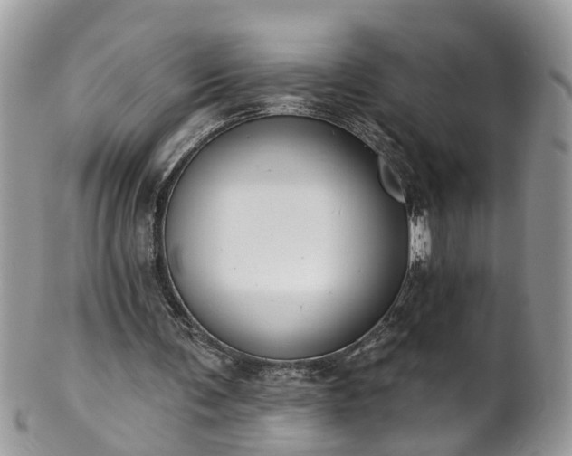 X0000101980291200807251240