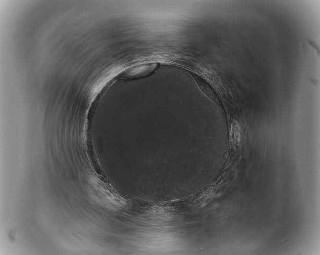 X0000101980292200807251240