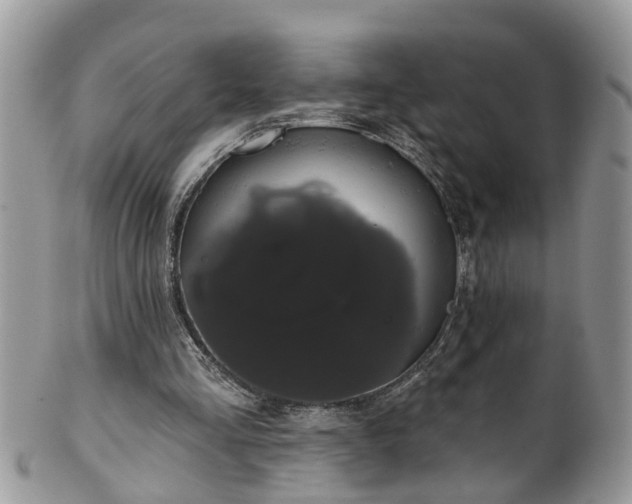 X0000101980293200807251240