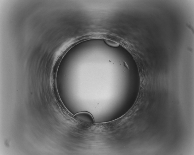 X0000101980294200807251240