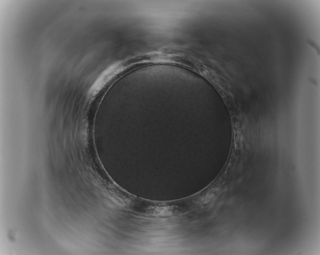 X0000101980295200807251240