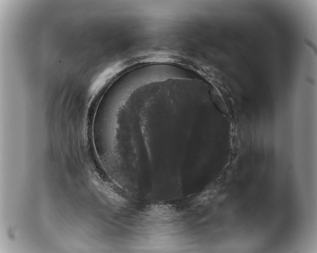 X0000101980296200807251240