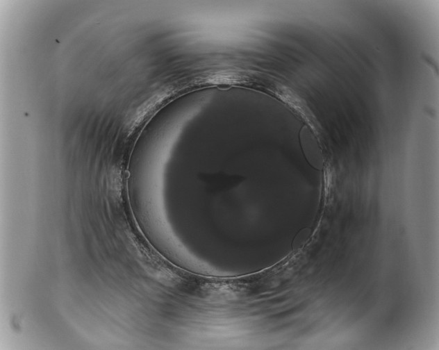 X0000101980297200807251240