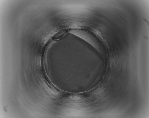 X0000101980299200807251240