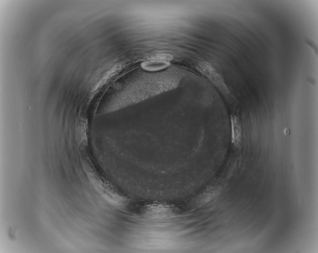 X0000101980300200807251240