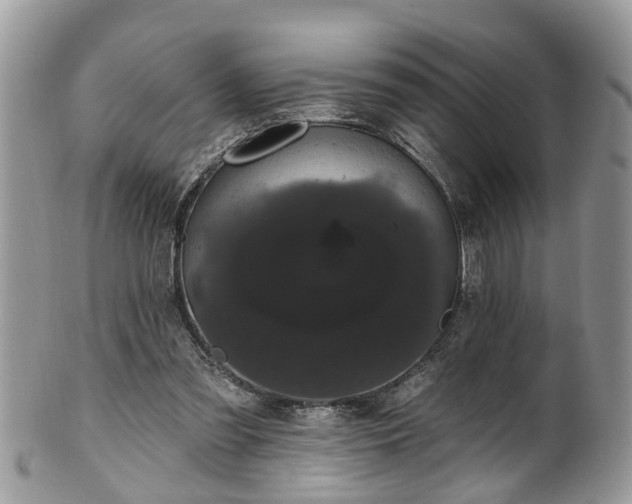 X0000101980301200807251240