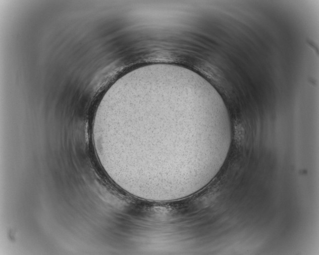 X0000101980302200807251239