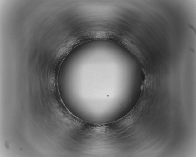 X0000101980306200807251239