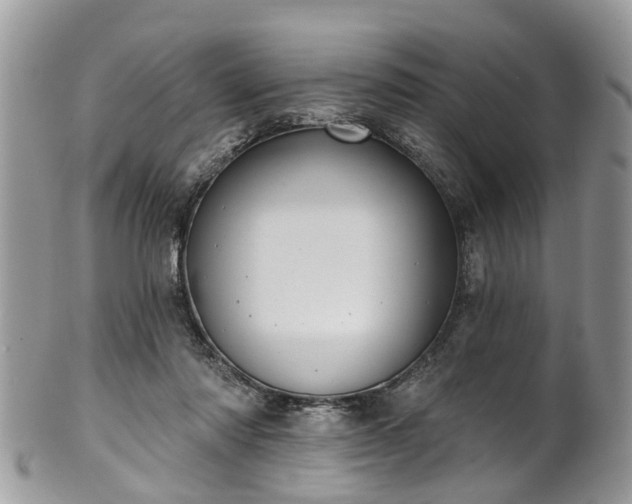 X0000101980310200807251239