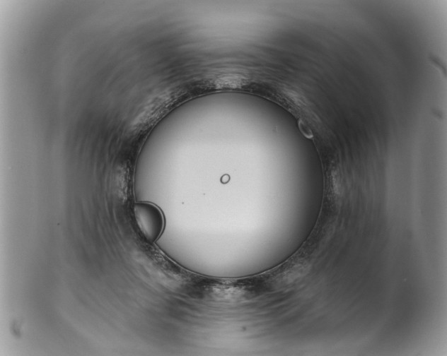 X0000101980311200807251239