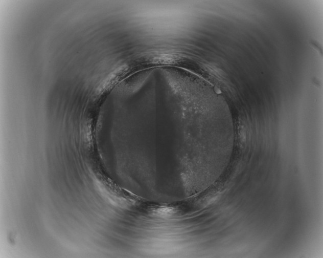 X0000101980312200807251239