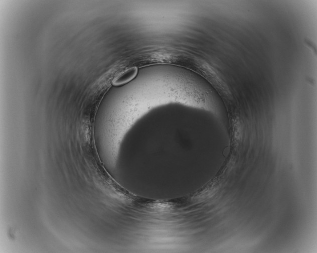 X0000101980313200807251239