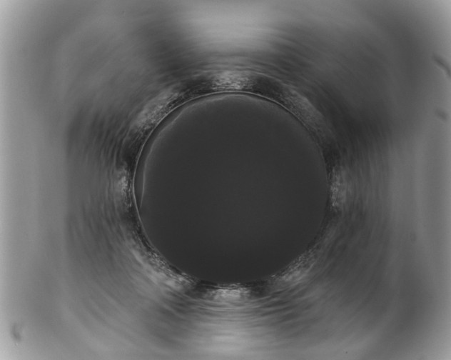 X0000101980314200807251239