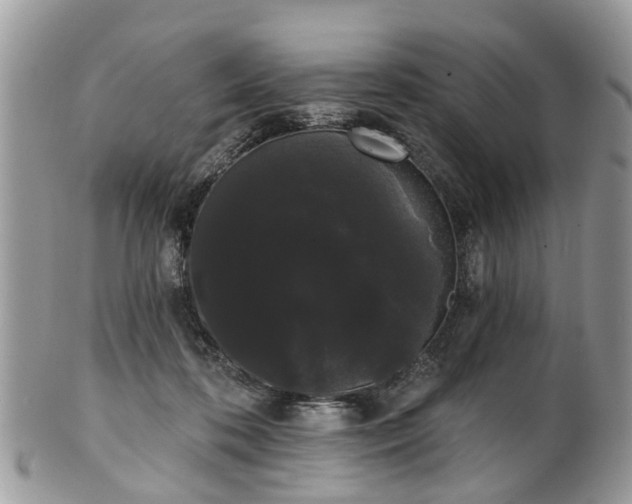 X0000101980316200807251239