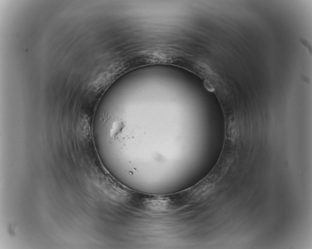 X0000101980318200807251239