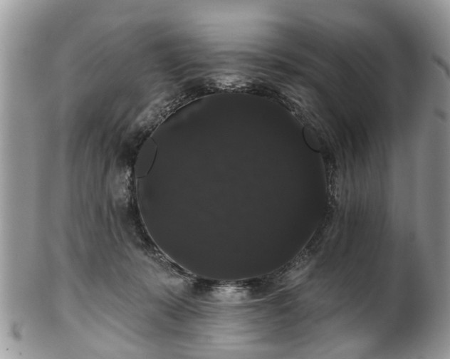 X0000101980319200807251239