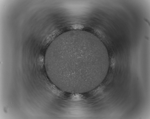 X0000101980321200807251239