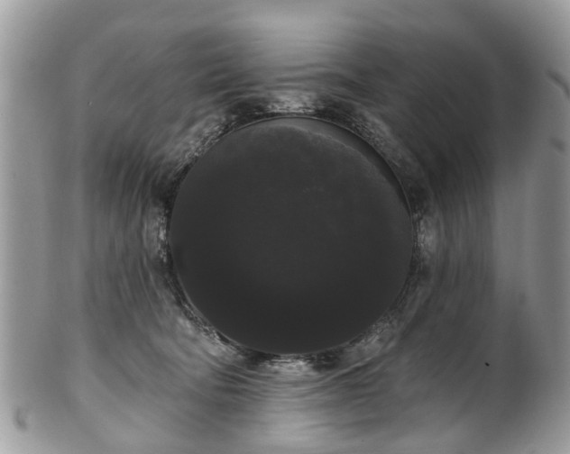 X0000101980322200807251239