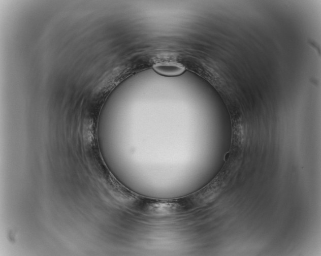 X0000101980323200807251239