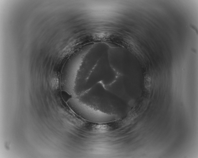 X0000101980324200807251239