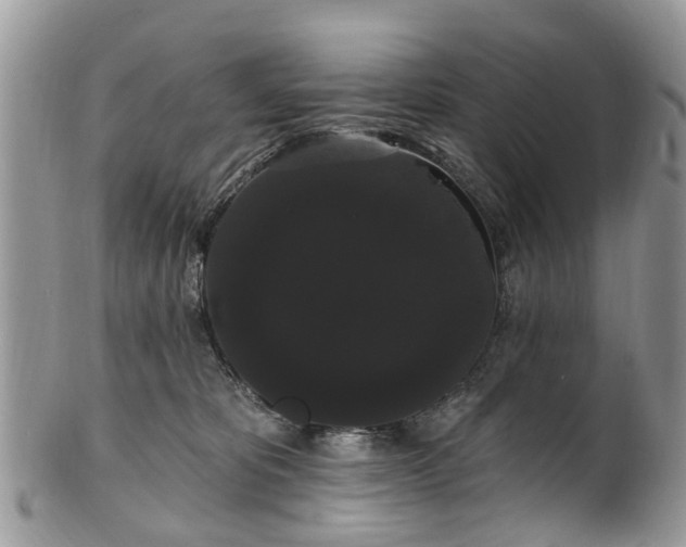 X0000101980325200807251239