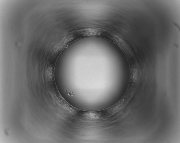 X0000101980326200807251239