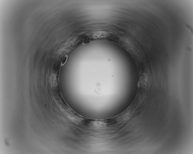 X0000101980327200807251239