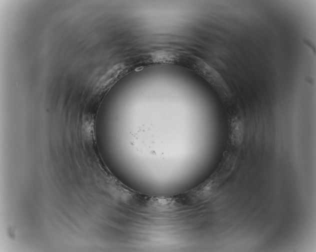 X0000101980329200807251239