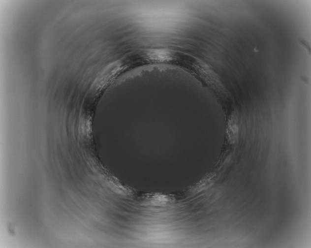 X0000101980330200807251239