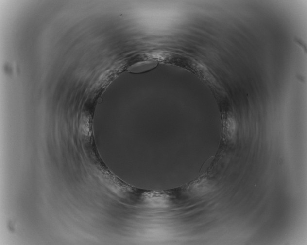 X0000101980331200807251239