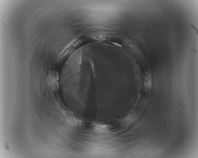 X0000101980332200807251239