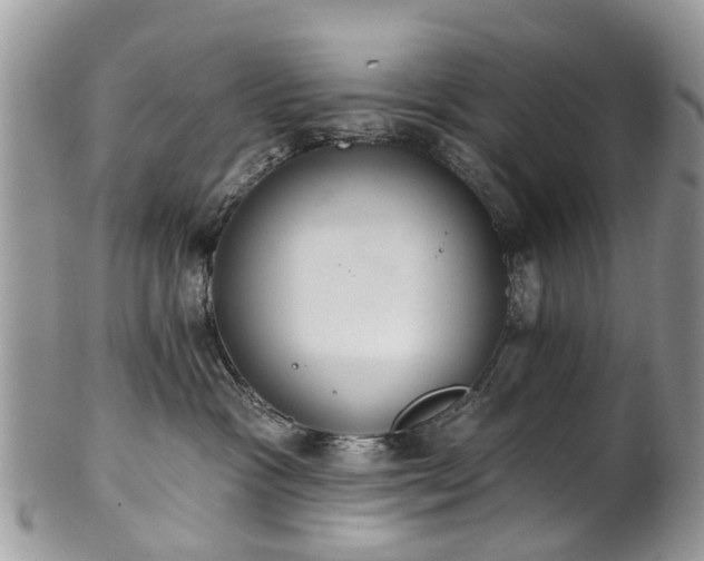 X0000101980333200807251239