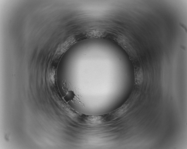 X0000101980334200807251239