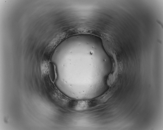 X0000101980335200807251239