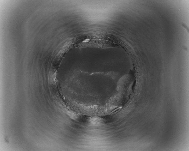 X0000101980336200807251239