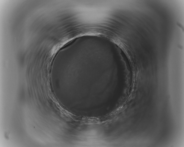 X0000101980337200807251238