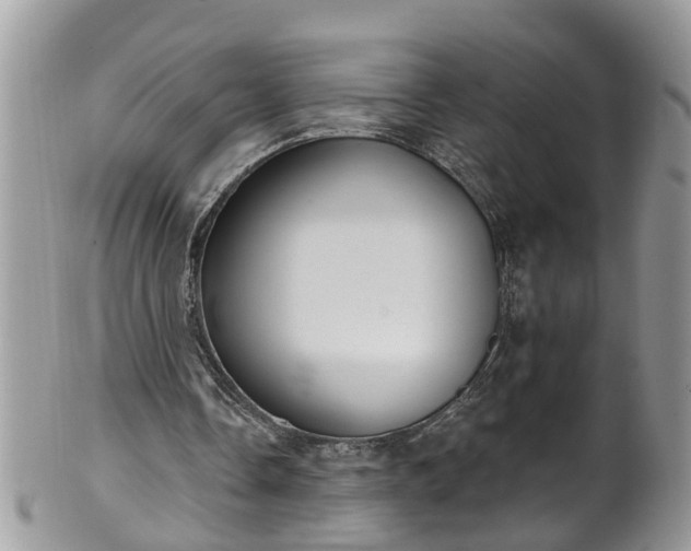 X0000101980338200807251238