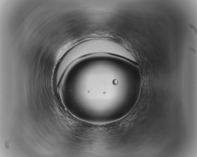 X0000101980340200807251238