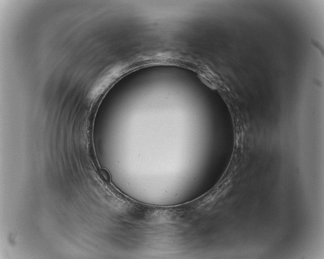 X0000101980341200807251238