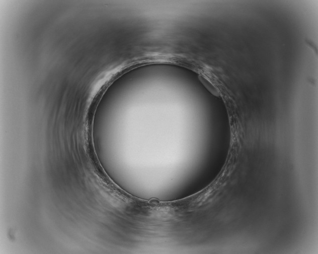 X0000101980342200807251238