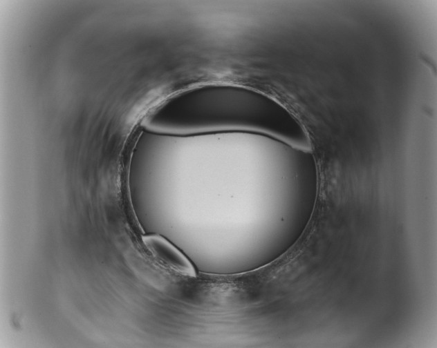 X0000101980344200807251238