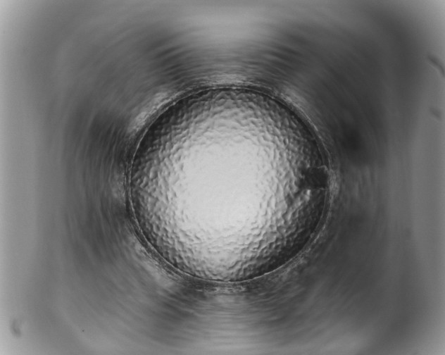 X0000101980345200807251238