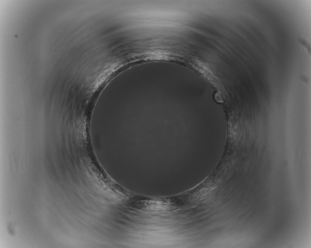 X0000101980347200807251238