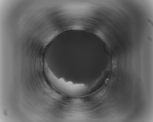 X0000101980349200807251239