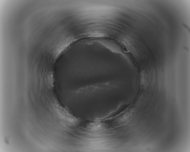 X0000101980351200807251239