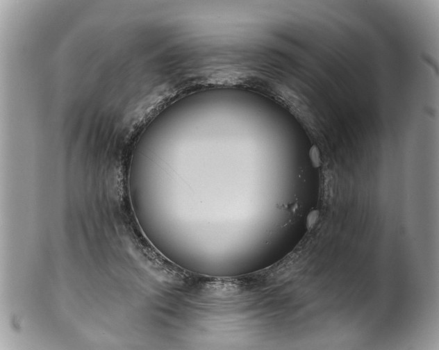 X0000101980354200807251239